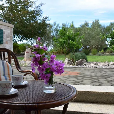 Apartments With A Swimming Pool Zadar - 5943 Apartment Zadar